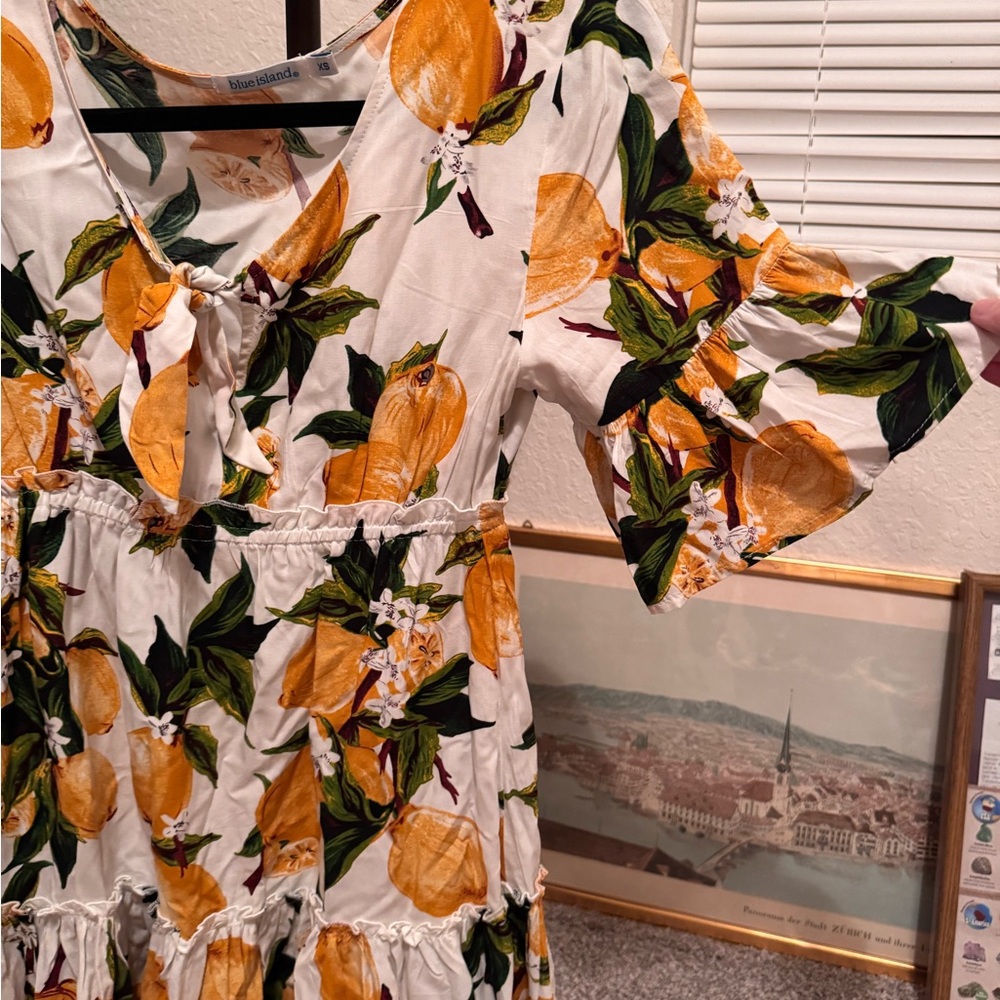 Floral Orange Print Dress